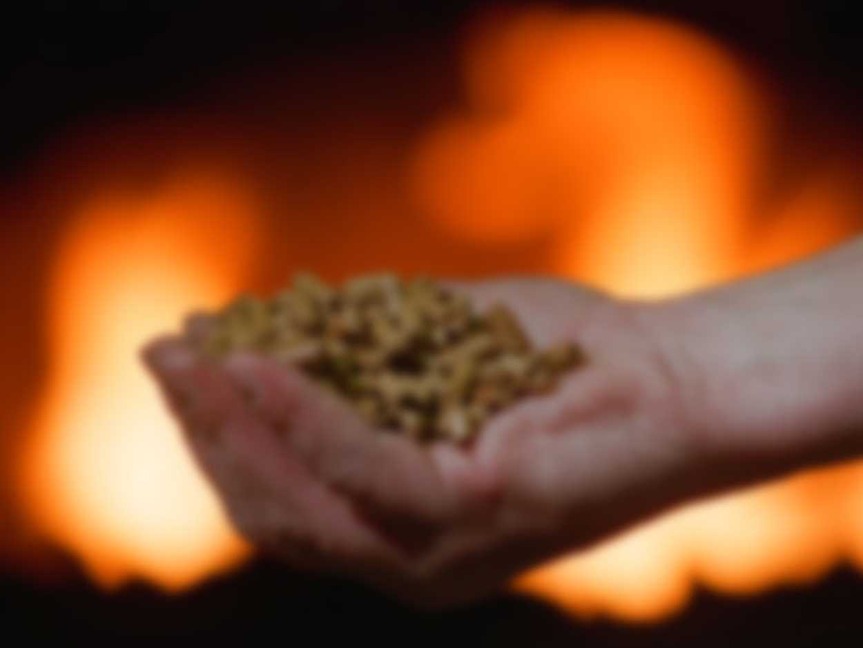 Hack­schnitzel­heizung bei Muster Elektro in Musterstadt