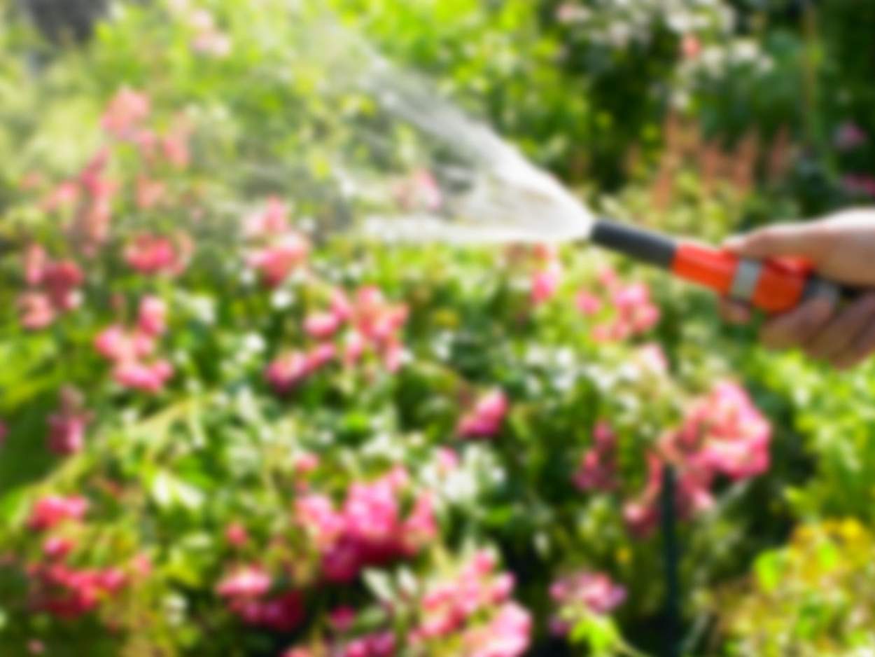 Regen­wasser­nutzung bei Muster Elektro in Musterstadt